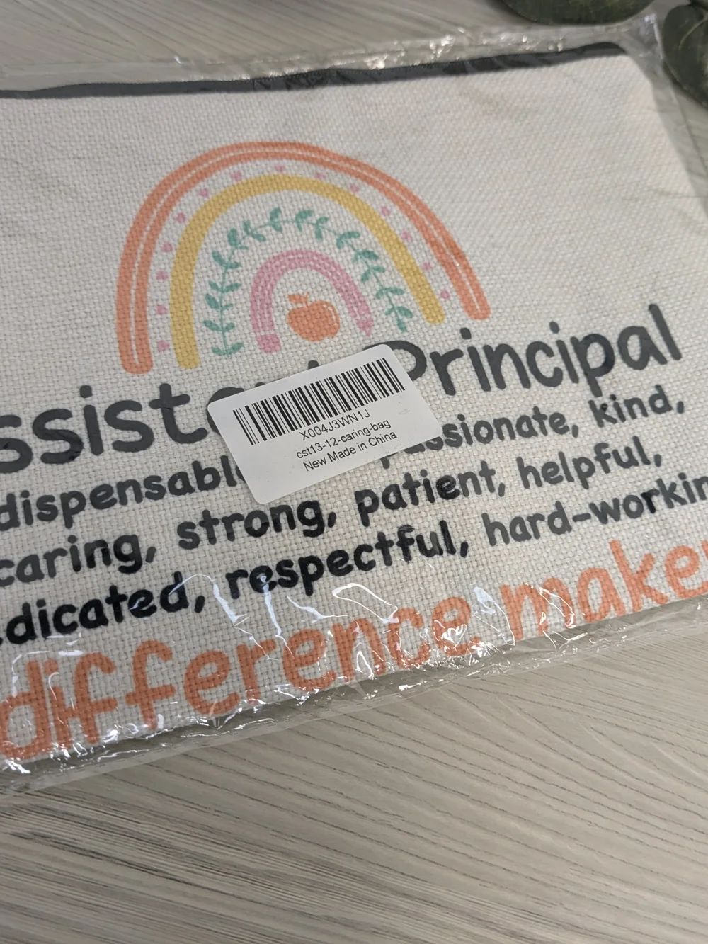 Assistant Principal Make Up Cosmetic Canvas Bag